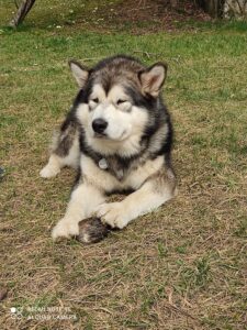 IMG_20220317_125425