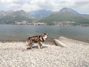 IMG_20220429_160205