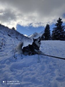 IMG_20221120_120555