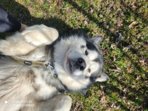 IMG_20230410_103318