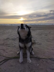 IMG_20240702_212418749