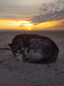IMG_20240702_220910932