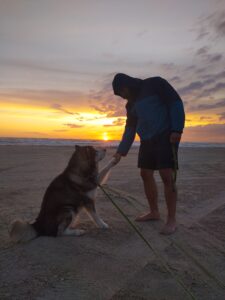 IMG_20240702_221650457