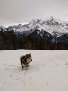 IMG_20241123_113649636