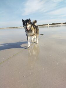 IMG_20250823_104312135