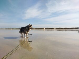 IMG_20250823_104326672