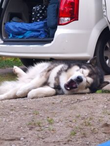 IMG_20250912_172856527