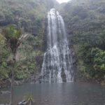 IMG-20251206-WA0028
