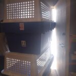 IMG_20251117_141115071
