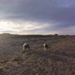 IMG_20260308_185656732