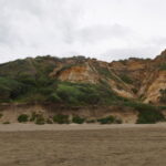 P1050099