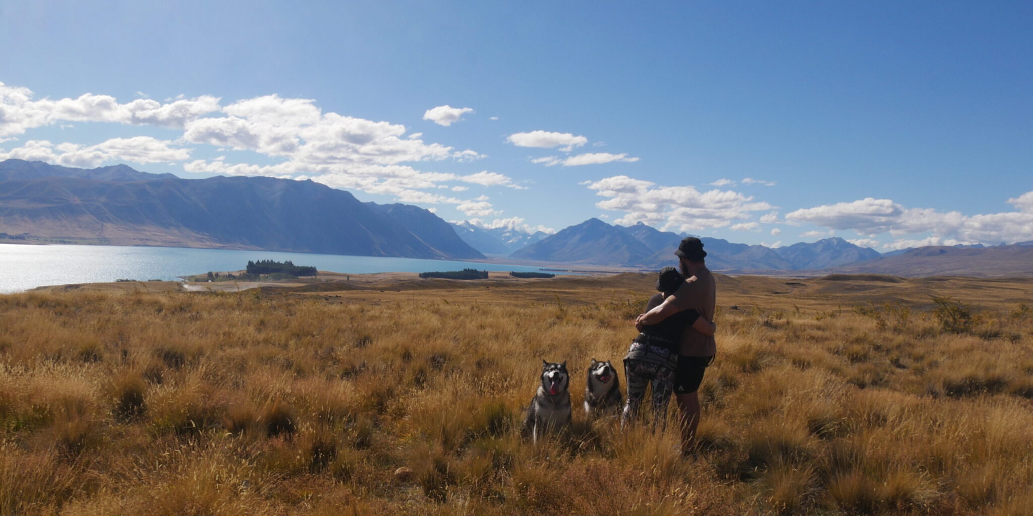 La nouvelle Zélande avec des Chiens : Est-ce une Destination Pet friendly?